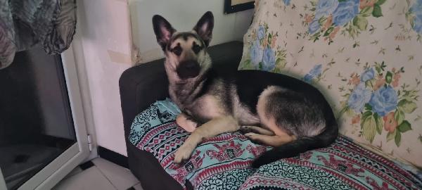 LEON Foto 4
